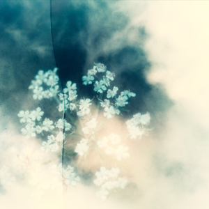 Sara Battaglini, Federico Pierantoni, Enrico Ronzani "DALIA" AU6009